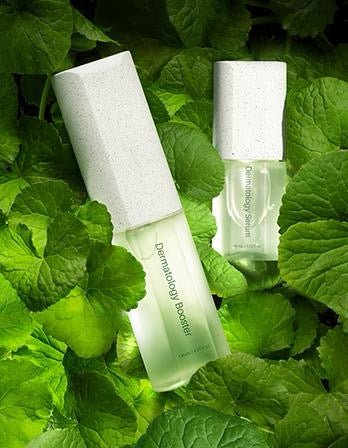 ICD Dermatology First Package - Pink&iSwan