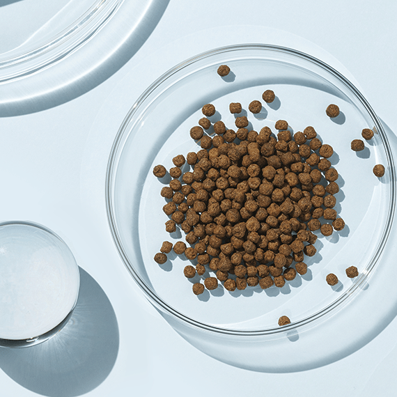 Deep Talk Plus - Pink&iSwan