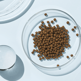 Deep Talk Plus - Pink&iSwan