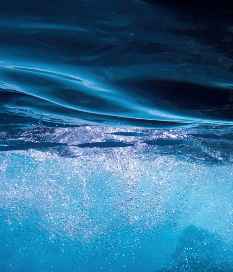 ICD Makeup Sheer Glow BB - Pink&iSwan